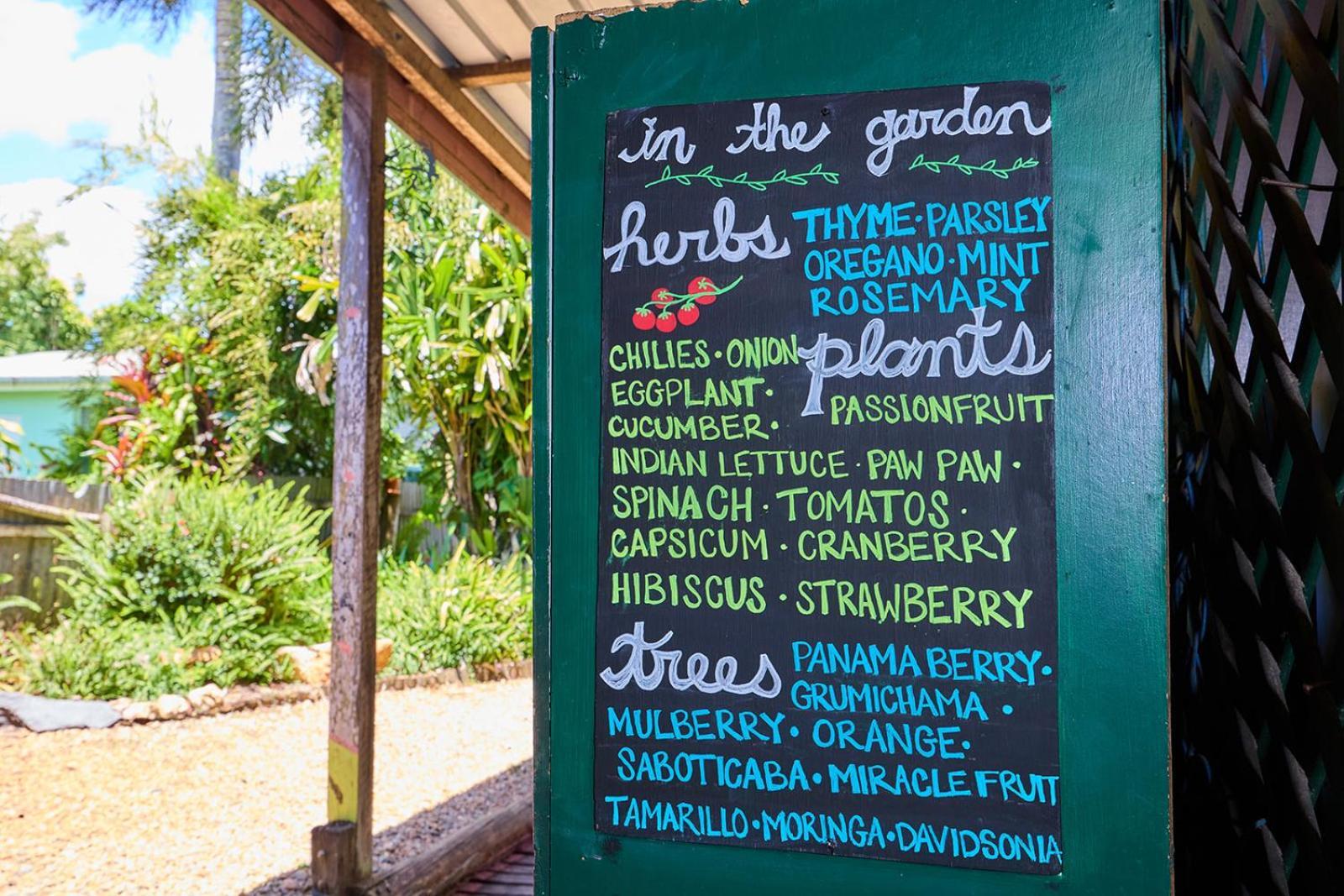 On The Wallaby Eco Lodge Yungaburra Zewnętrze zdjęcie